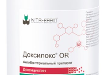 Фото компании ООО Ветеринарный лекарь 5