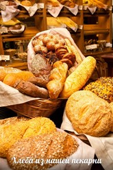 Фото компании  Плюшкин, ресторан 12