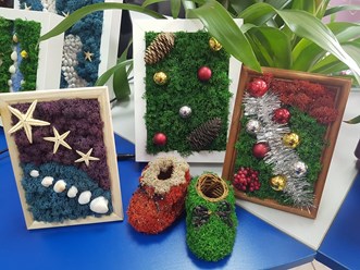 Фото компании ООО Фитостудия 9