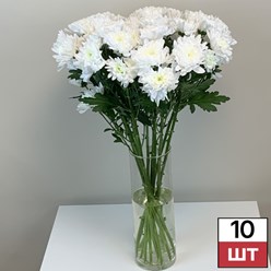 Фото компании  Не Букет 15