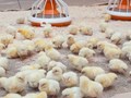Фото компании ООО ГК Импульс 1