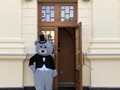 Фото компании  Чилаут, восточное кафе 6