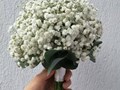 Фото компании  Flowers made by nature 3