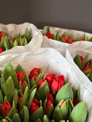 Яркие тюльпаны к 8 Марта!
