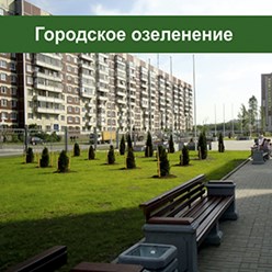 Фото компании  Зеленая лужайка 1