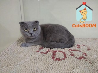 Фото компании ООО Кетс Рум 5