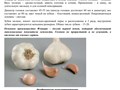 Фото компании ИП Агрофирма "Отборные семена" 5