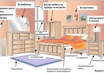 Фото компании ООО Санитарная служба 2