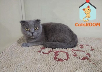 Фото компании ООО Кетс Рум 5