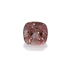 Фото компании ООО Супер Джемс (Super Gems) 86