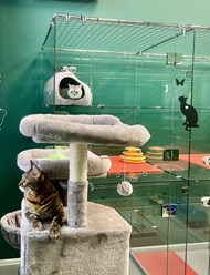 Фото компании  Усатые Гости 5