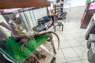 Фото компании  Beauty_Sisters 3