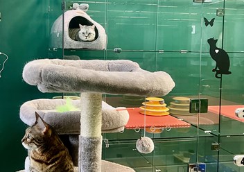 Фото компании  Усатые Гости 5