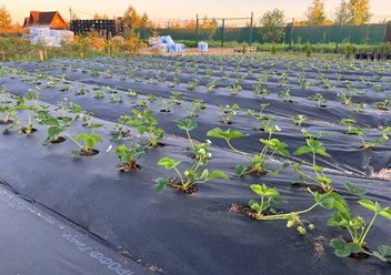 Фото компании  Бережки 6