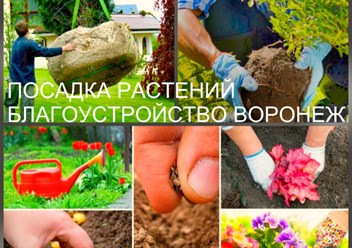 Посадка растений Воронеж
Озеленение участка и посадка растений в Воронеже
Наша компания проводит в городе Воронеж благоустройство и озеленение любых территорий.