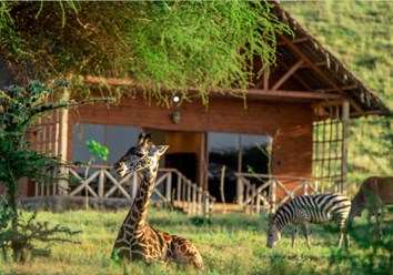 Фото компании ООО Soul Venture Africa 6