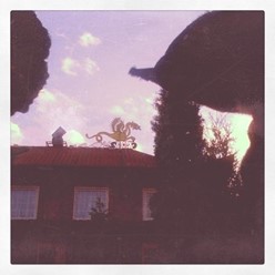 Фото компании  Золотой Дракон, ресторан 7