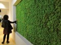 Фото компании  Greenery 1