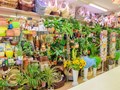 Фото компании ИП Цветочный Маркет 24 в Химках 5