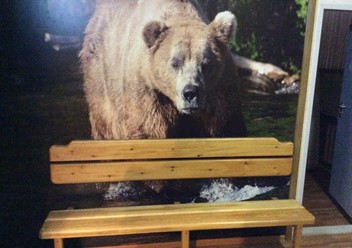 Фото компании  Жемчужина, сауна 1