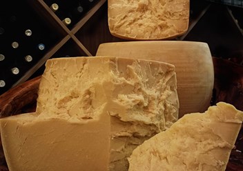 Фото компании  Земля сыра 2