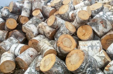 Березовые дрова чурками с доставкой