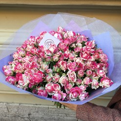 Фото компании ИП Семицветик 5
