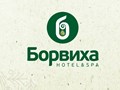 Фото компании  Борвиха 1