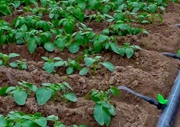 Фото компании ООО АгроФермПласт 1