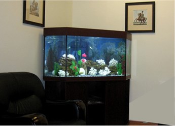 Изготовление аквариумов на заказ