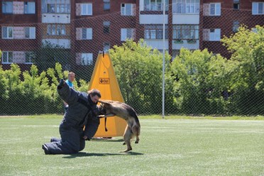 Фото компании ОРО Омский областной центр спортивно-служебного собаководства 4