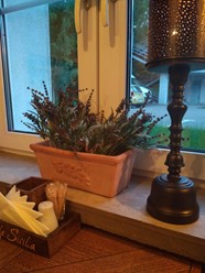 Фото компании  cafe Sicilia 8