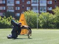 Омский областной центр спортивно-служебного собаководства (ОЦССС) - школа чемпионов!