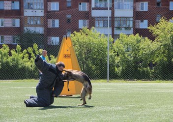 Фото компании ОРО Омский областной центр спортивно-служебного собаководства 4