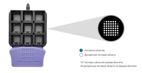 Технология матричных биочипов от RANDOX