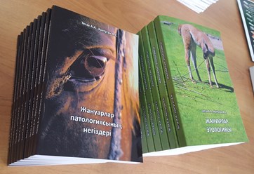 Книги с клеевым переплётом