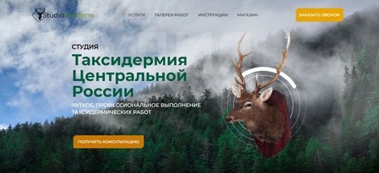 СТУДИЯ

Таксидермия Центральной России