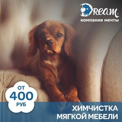 Фото компании  Клининговая компания "Dream" 2
