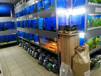 Фото компании  Аквариумный салон "ДискусПрайм" 3