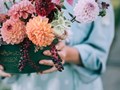 Фото компании  Vladi Flowers 6