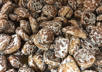 Фото компании ИП Иванов серик абрамович 4