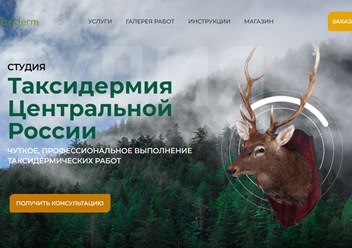 СТУДИЯ

Таксидермия Центральной России