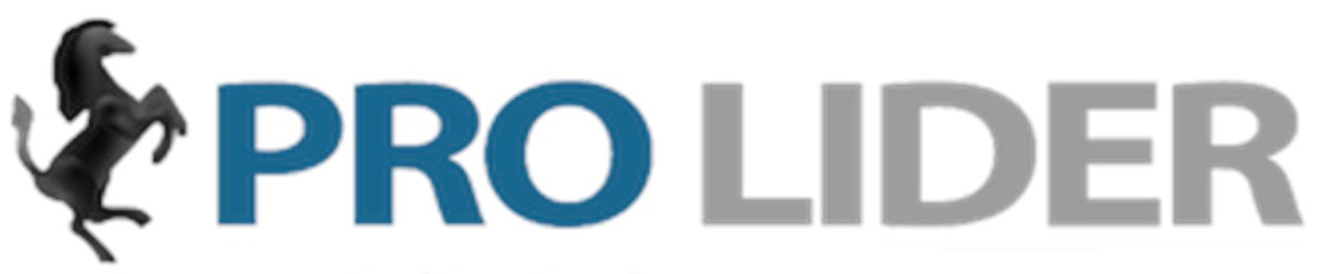 Фото компании  PRO LIDER 5