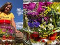 Фото компании  Травник Рина Ржевская 4