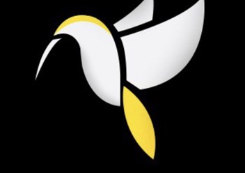 Фото компании  Calypte anna 6