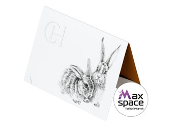 Фото компании ООО Типография "Максспейс" 133