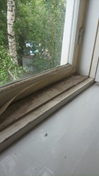 Фото компании  Сияй 6