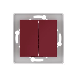 Выключатель скрытой установки CADUCEUS ALING PRESTIGE двухклавишный, проходной, 10АХ, 250В~, механизм