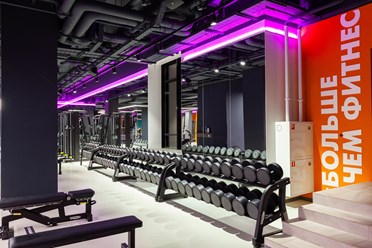 Фото компании  DDX Fitness 9