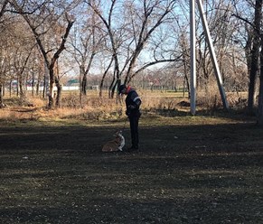 Фото компании  KARVIDEAN 12